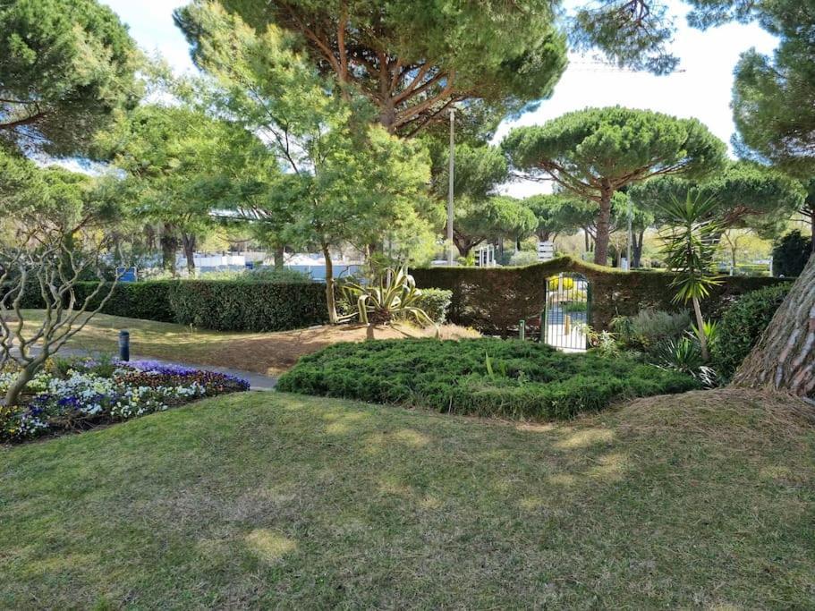 Superbe T2 Tout Confort 3 Etoiles, Entierement Renove Avec Piscine, Parking, Clim, Wifi, Netflix La Grande Motte Dış mekan fotoğraf