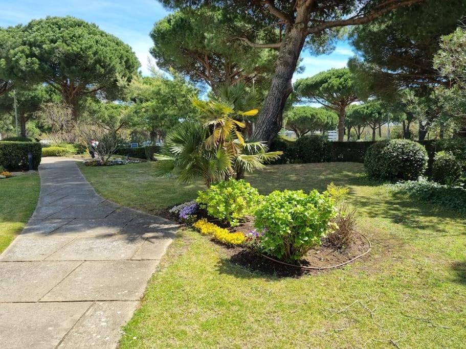 Superbe T2 Tout Confort 3 Etoiles, Entierement Renove Avec Piscine, Parking, Clim, Wifi, Netflix La Grande Motte Dış mekan fotoğraf