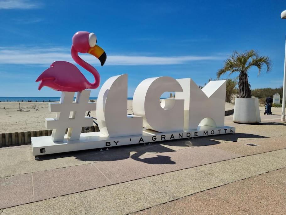 Superbe T2 Tout Confort 3 Etoiles, Entierement Renove Avec Piscine, Parking, Clim, Wifi, Netflix La Grande Motte Dış mekan fotoğraf